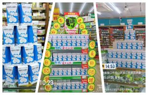 “鈣”世英雄陳列大賽